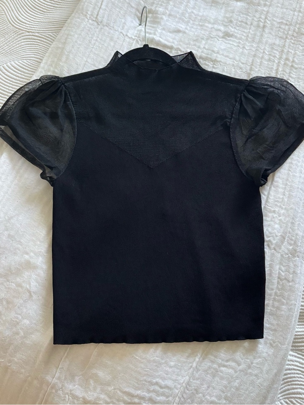 Zara Sheer Puff Sleeve Black Top - Women